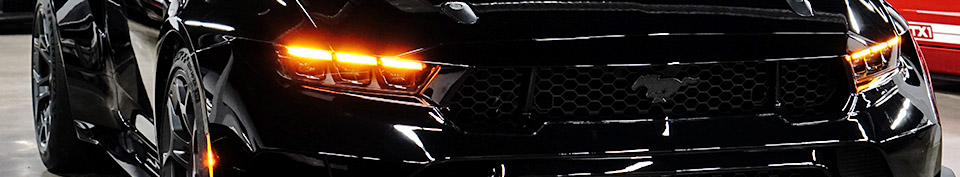 Mustang GTD Owners | Mustang GTD Forum